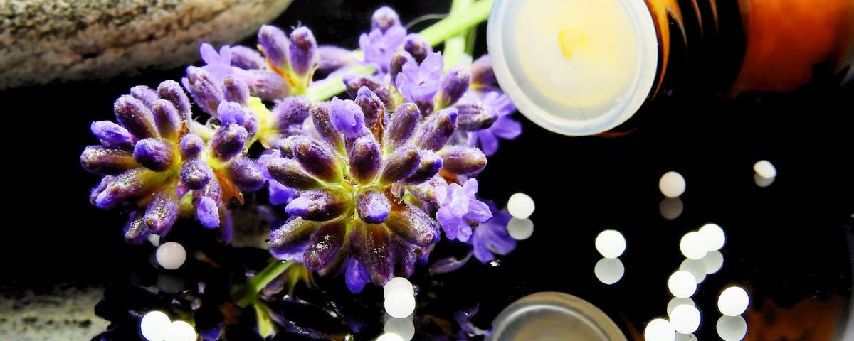 découvrez la naturopathie : une approche naturelle de la santé qui mise sur l’équilibre du corps, la nutrition, et les méthodes douces pour prévenir et optimiser votre bien-être au quotidien.