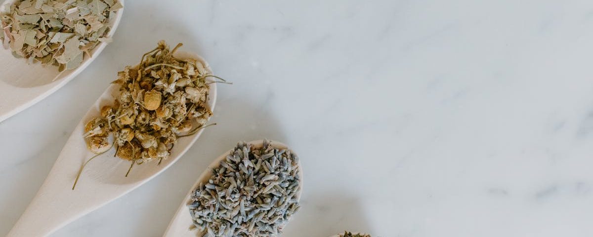 découvrez la naturopathie : une approche naturelle de la santé qui associe alimentation, hygiène de vie et techniques douces pour renforcer le bien-être et prévenir les maladies.