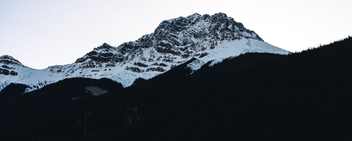 découvrez la décompression neurovertébrale, une technique non chirurgicale pour soulager les douleurs cervicales et lombaires causées par des hernies discales ou des sciatiques. améliorez votre qualité de vie grâce à ce traitement innovant.