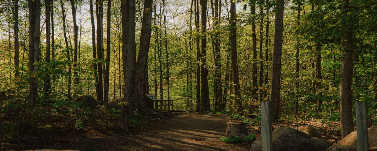 découvrez la thérapie par ondes de choc : traitement non invasif qui soulage la douleur chronique, accélère la guérison des tendons et améliore la mobilité.