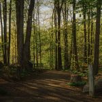 découvrez la thérapie par ondes de choc : traitement non invasif qui soulage la douleur chronique, accélère la guérison des tendons et améliore la mobilité.