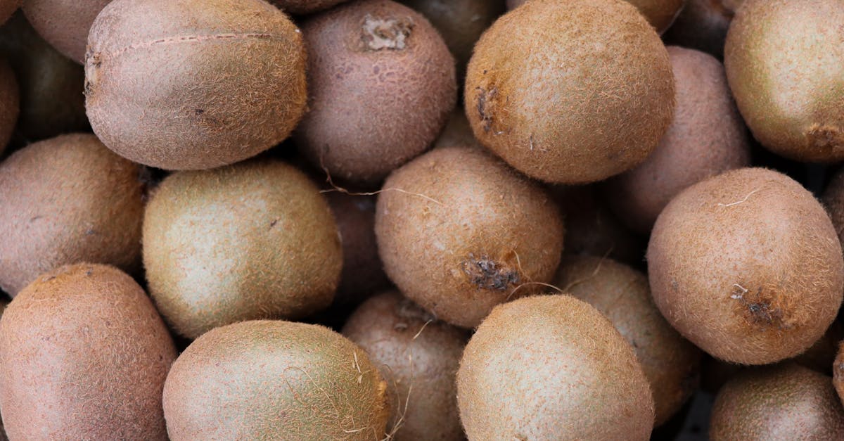 découvrez les bienfaits de la décompression neurovertébrale, une technique innovante pour soulager les douleurs nerveuses et améliorer la mobilité vertébrale.